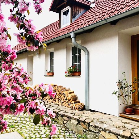 Apartmany Jílovice Екстериор снимка