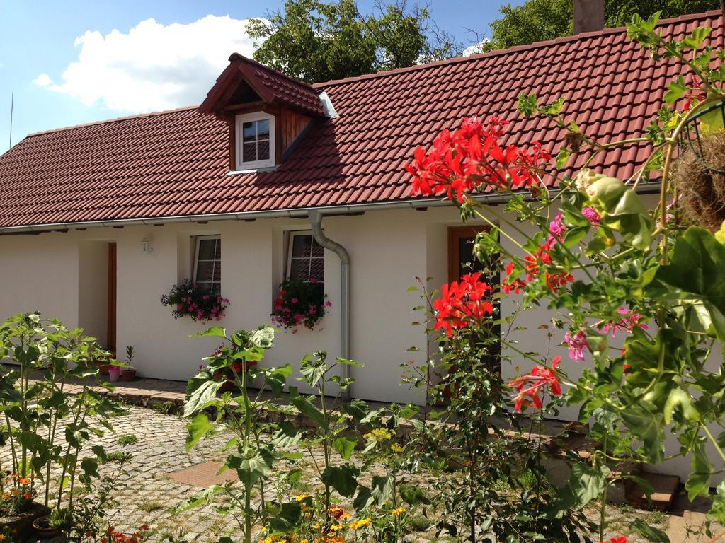 Apartmany Jílovice Екстериор снимка